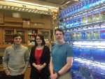 Clarkson University Team Receives NSF Grant to Explore Health Effects of Nanoparticles