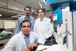 Researchers Develop Carbon-Based Nanofiber Co-Catalyst System for Creating Syngas