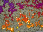 Copper Film with Massive Crystalline Grains Hold Promise for Graphene Substrates
