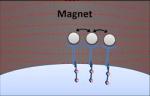 Advances in Using Nanoparticles and Magnetism to Treat Cancer