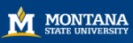 MSU to Host Nanotechnology-Themed Event Nanodays on April 2