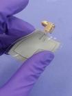 Flexible, Resilient Antennas with Silver Nanowires for Wearable Health Monitoring Devices