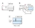 Novel Technique to Build Pneumatic Microvalves into 2-D and 3-D Microfluidic Devices