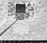 Nanoscale Impurities Improve Performance of Bi2212 Superconductor