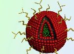 Two Drugs Packaged in Liposome Nanoparticles Dramatically Shrink Tumors