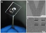 Researchers Combine Silk Proteins with Photolithography