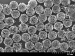 Novel Nanoshell Protects Foreign Enzymes That Starve Cancer Cells