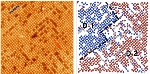 Oxygen Atoms Induce Jahn-Teller Distortion on Perovskite Manganite Surfaces