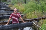 Rapid Accumulation of Carbon Nanotubes in Wetland Sediment Could Damage Aquatic Food Chain