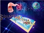 Researchers Develop Lab-on-a-Chip for Early Detection of Lung Cancer