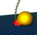 Graphene Nanopores with Built-in Optical Antenna