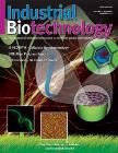 Latest Insights on Cellulose Nanocrystal Toxicity
