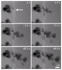 Real-Time Nanoscale Images of Lithium Dendrite Structures That Degrade Batteries