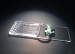 Novel Microfluidic Hybrid Device Reliably Detects Ebola Virus