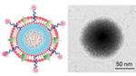Platelet Membrane-Coated Nanogel Delivery System to Target Cancer
