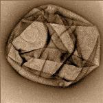 High-Speed AFM Reveals Deformation of Cell Membranes by Protein Complex