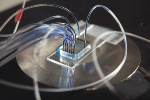 EPFL Researchers Develop Low-Cost, Portable Microfluidic Diagnostic Device