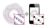 New Visual Readout Method Enables Cell-Phone Camera to Quantify Single Nucleic-Acid Molecules