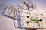 Scientists Develop New Microfluidic Device to Test Effects of Electric Fields on Cancer Cells
