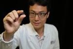 New Malleable Magnetic Memory Chip Developed by Scientists