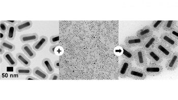 Simple Method to Deposit Magnetite Nanoparticles onto Silica-Coated Gold Nanorods