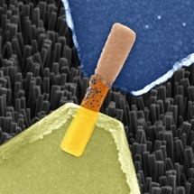 Scientists Create Memristive Element Made from Nanowires of Zinc Oxide Crystal