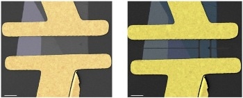 Direct After-Fabrication Tailoring of MoS2-FET transistors