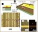 New Technique for Fabricating Nanowire Photonic and Electronic Integrated Circuits