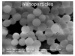 Researchers Developed New Method to Fabricate Borosilicate Glass Nanoparticles