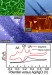 New Strategies to Exploit Electrocatalytic Properties and High Surface Area of Graphene Sheets