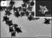 Spiky Nanoparticles May Enhance Test Sensitivity