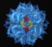 Researchers Decipher Protective Shield Used by Hundreds of Viruses