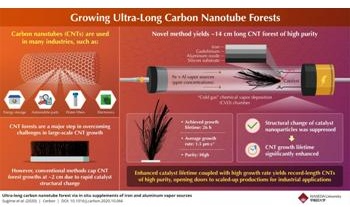 New Method Helps Develop Carbon Nanotube Forest of Record Length
