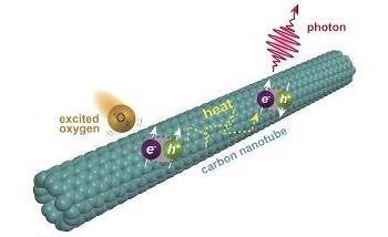 Researchers Observe Second Level of Fluorescence in Carbon Nanotubes