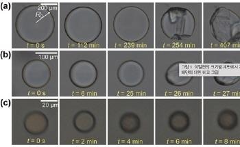 New Nanoscale Self-Assembling Salt-Crystal Origami Method Spontaneously Envelops Liquid Droplets