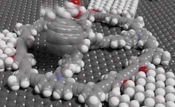 Scientists Have Enabled Nanostructures to Self-Assemble and Cover Particular Surfaces