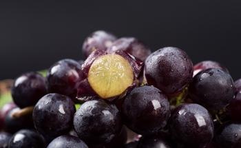 Sourcing Carbon Dots from Grape Peel for Biomedical Baicalin Detection