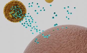 New Nanoparticle-Based Mucosal Drug Delivery System Proposed