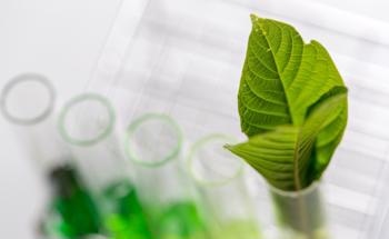 A New Method to Directly Convert Lignin into Carbon Foams