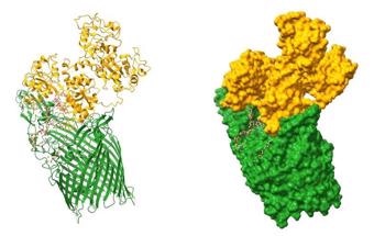 Streamlining the Quantification of Protein-Protein Binding Kinetics