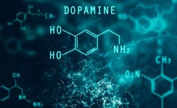 New Electrochemical Biosensor to Detect Dopamine