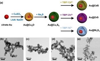 Scientists Develop Yolk-Shell Structures with Movable Gold Yolk Targeting Effective Photocatalysts