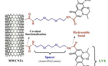 Multi-Walled Carbon Nanotubes Effective in Levofloxacine Drug Delivery