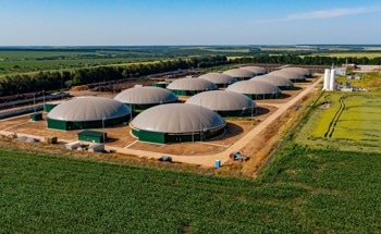 Compatible, High-Performance Membrane for Biogas Upgrading