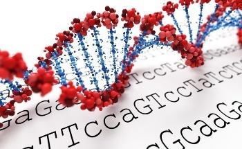 Novel SERS Platform to Detect DNA Sequences