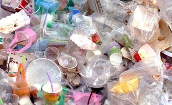 Recycling of Plastic Waste Used to Make Low-Cost Fuel Cells