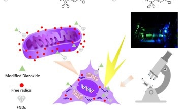 Multifunctional Fluorescent Nanodiamonds for HeLa Cell Drug Delivery