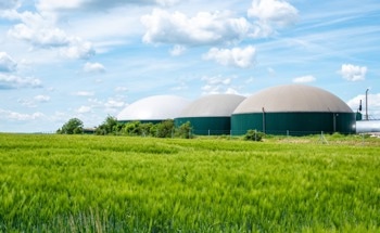 Promising Approach to Convert Biogas into Valuable Products