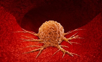 Raspberry-Like Nanoadjuvants Help Target Deep Tissue Tumors