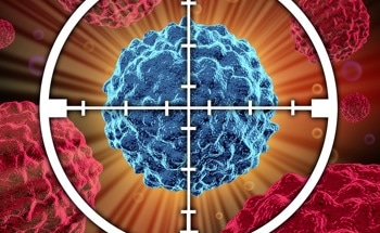 Taking Inspiration from Virus Hijacking to Improve Drug Nanocarriers